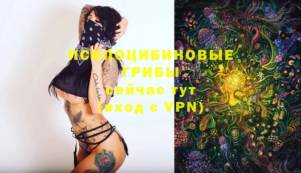 мет Алексеевка
