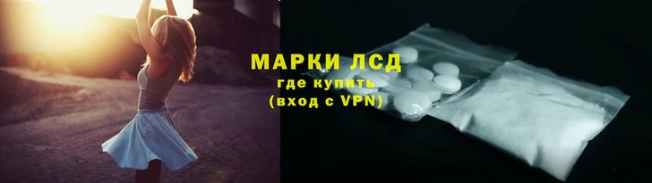 крисы Алзамай