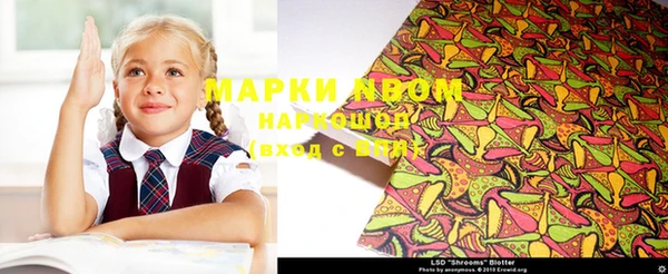 мдпв Алексин