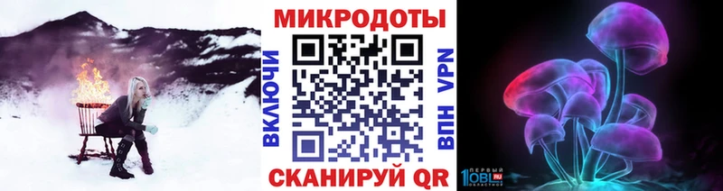 купить наркоту  Павлово  Галлюциногенные грибы GOLDEN TEACHER 